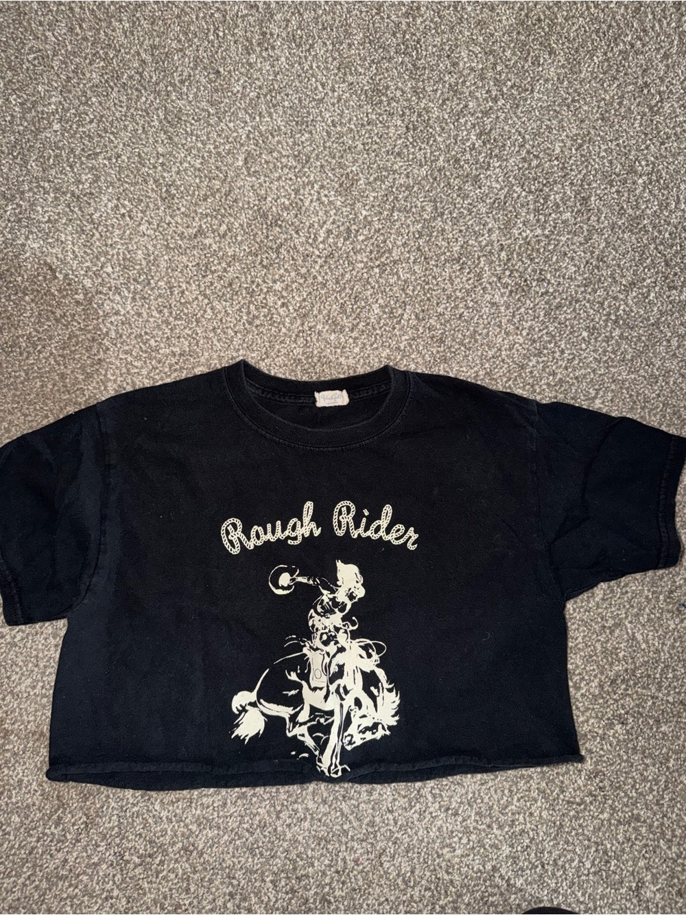 Brandy Melville Rough Rider Crop Top